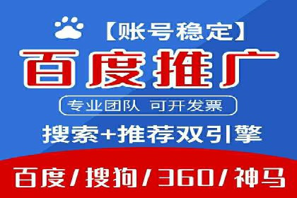 SEM推广策略：成功案例解析